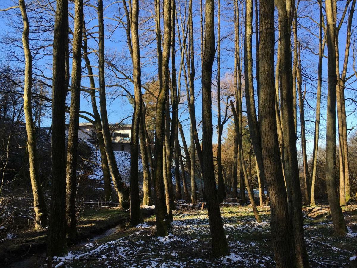 Haagalm Terrasse, Garten Nonnweiler Exterior photo